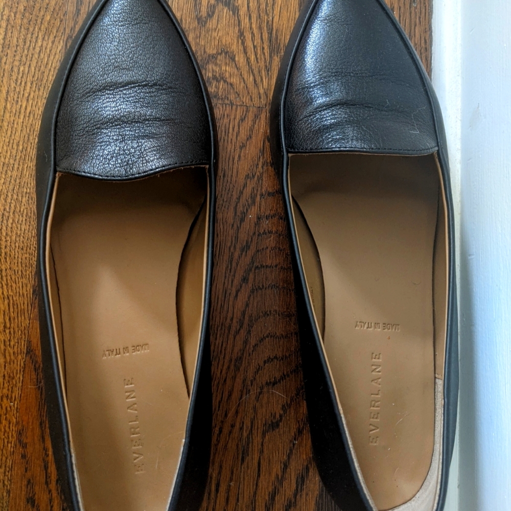 Everlane Modern Point Size 11